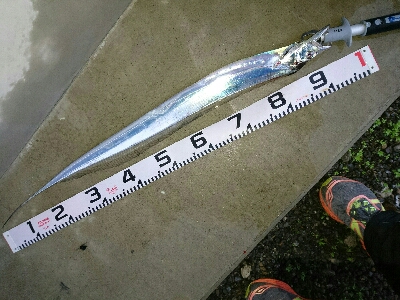 フラット狙いで、指4タチウオw