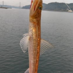 2019年11月3日釣行in唐津方面