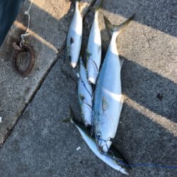 賑わってました