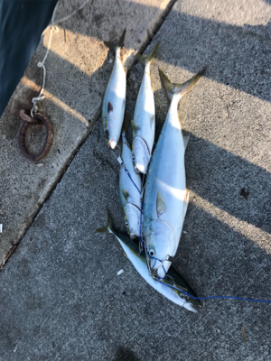 賑わってました