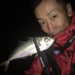 早朝アジング！回遊あった！☆GUNNING-STYLE