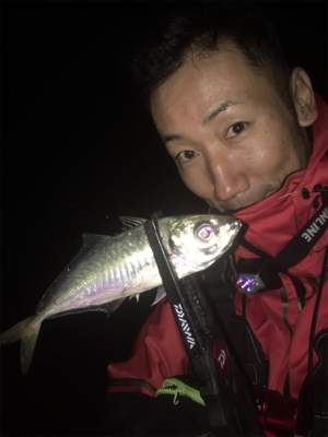 早朝アジング！回遊あった！☆GUNNING…