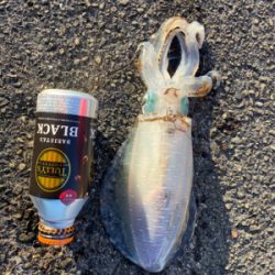 夜中には引き続き