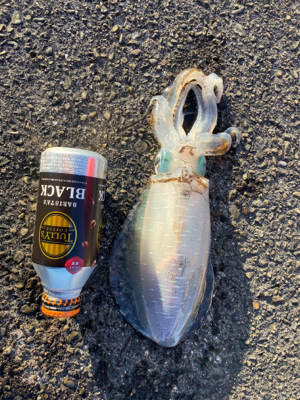 夜中には引き続き