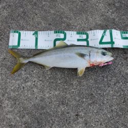 遠くで湧いてるのに…