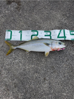 遠くで湧いてるのに…