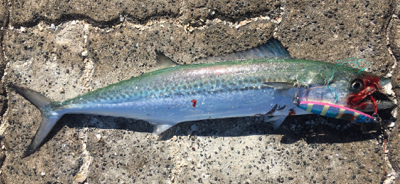 相変わらずすごい人、厳しいー