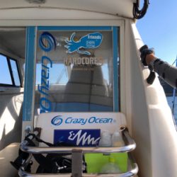 佐賀ティップラン