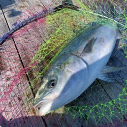 釣堀紀州さんにて