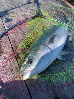 釣堀紀州さんにて