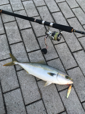 コスモ三目ジギング