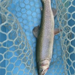 栃木総合運動場プール