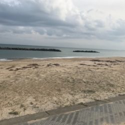 珍しく釣れました