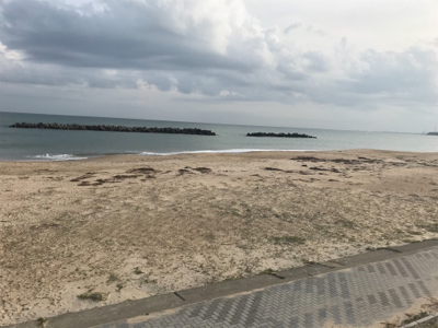 珍しく釣れました