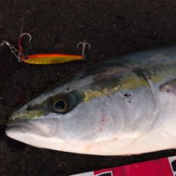 たまたま食ってくれた…^ ^♪?