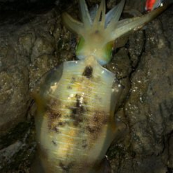 釣れてよかった♡