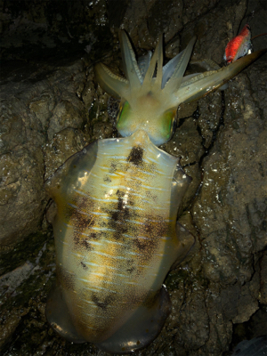 釣れてよかった♡