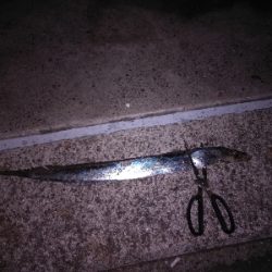 渋い中、何とか功を制す