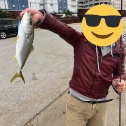 船橋港でイナダ45cm級！！