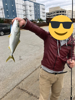 船橋港でイナダ45cm級！！