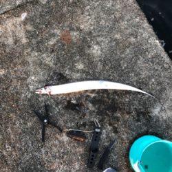 やはりメタルジグがいいです