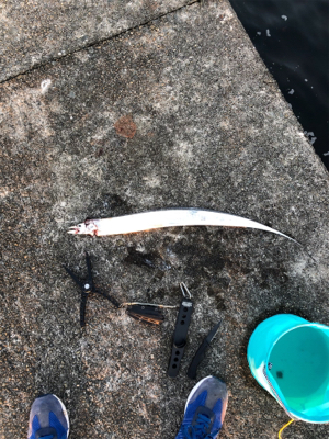 やはりメタルジグがいいです