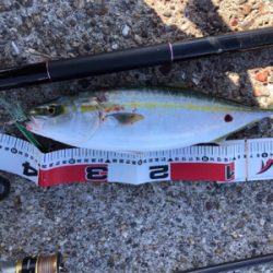 暇つぶしライトショアジギ