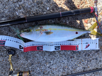 暇つぶしライトショアジギ