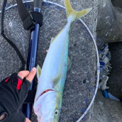 ショアジギング釣行