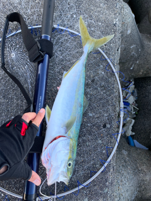 ショアジギング釣行