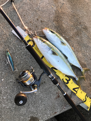 これぞショアプラッキング！！