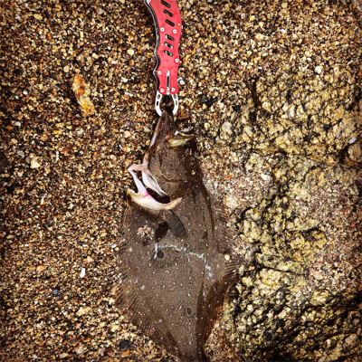 メタルジグでヒラメ