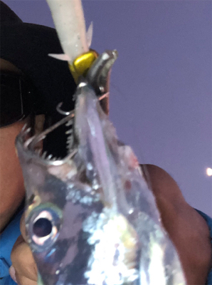 寒くなってきましたが海水温度は暖かい