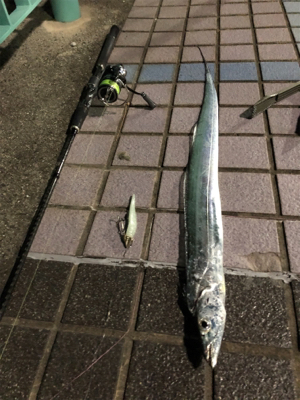 炙り刺身が食べたくて