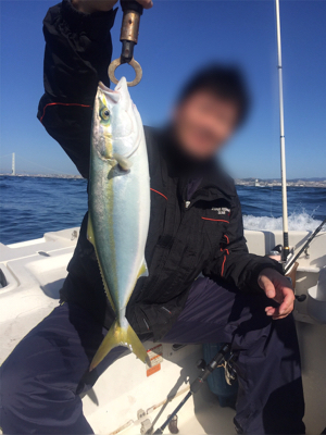 青物ノマセ釣行