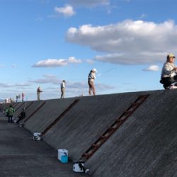 右も左もドラゴン