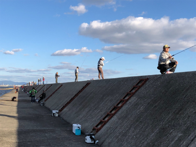 右も左もドラゴン