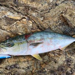 ポッパーにハマってます。