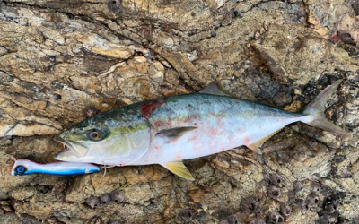 ポッパーにハマってます。