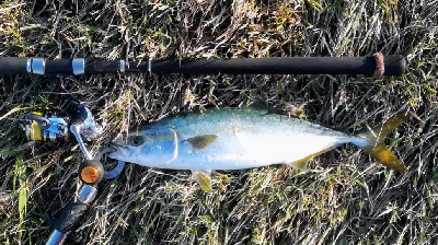 LSJigginger0650〜0730