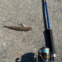 エギングとジギング