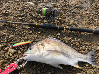 のんびりデイゲーム