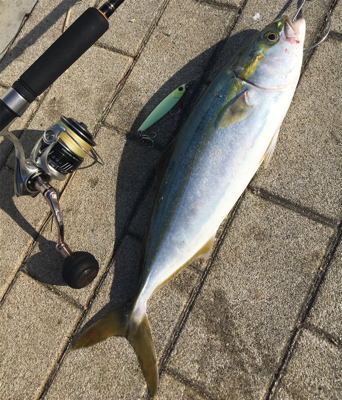 激シブながら移動、そしてオールグローに感謝…