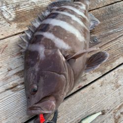 釣堀 水宝さんにて