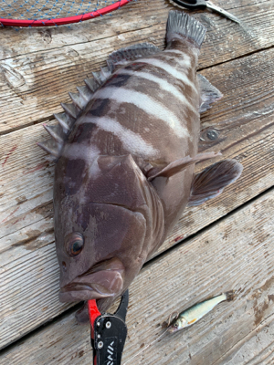 釣堀 水宝さんにて