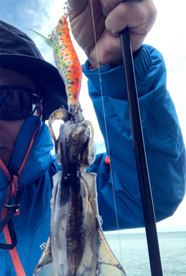 今年のラストエギング