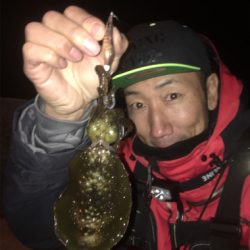 アジ/ヒイカ/アオリイカ♪GUNNING-STYLE