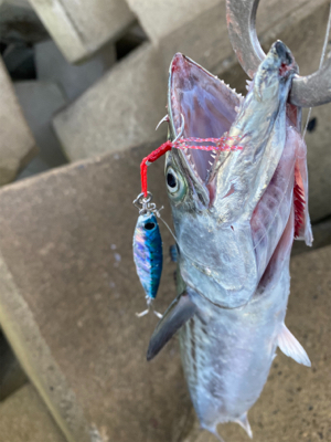 ショアジギング