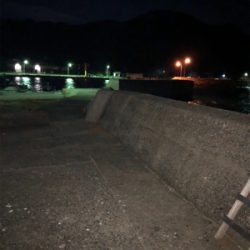 二神島でエギング