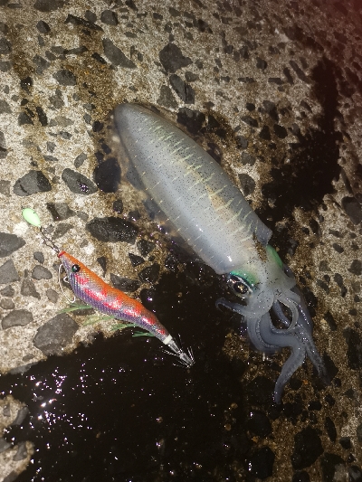 いつもの場所で、